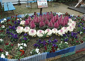 花壇