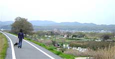 木津川堤防
