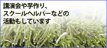 その他の活動